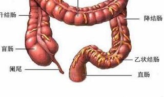 直肠神经内分泌肿瘤早期能治好吗 专家的回答帮到你