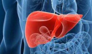 一招清除肝毒 简单一招给肝“洗洗澡