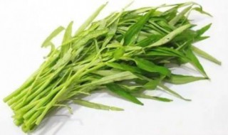 吃空心菜的坏处 没想到危害这么大!