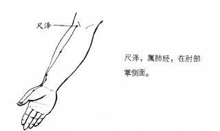 尺泽穴的位置和功效 尺泽穴在哪里