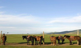 内蒙外蒙区别 别再傻傻分不清了