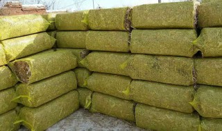 青贮饲料制作要点 这几点你一定要知道