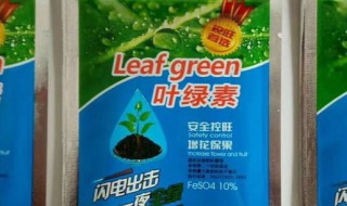 叶绿素控旺使用方法 如何喷施