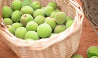 浸酒后的青梅怎么吃 我们可以进行干制