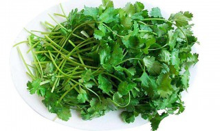 女人吃香菜的坏处有哪些 3大坏处你不容忽视