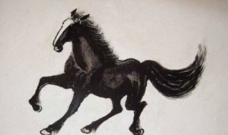 66年马人寿命如何 1966年出生的人能活多少年