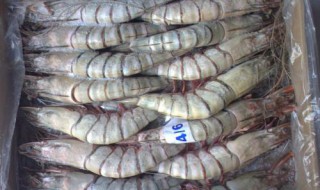 家庭活虾冷冻方法 保存一年不变质