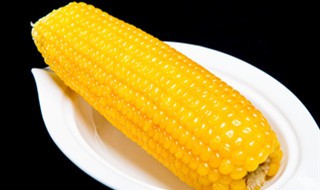 哪三种人不能吃玉米 快快告诉家里人