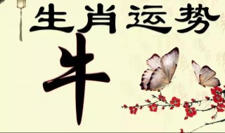 生肖牛2019年运势怎么样 从4个方面帮你解读