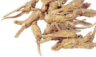 白当归功效 白当归做法