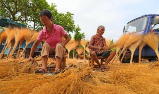 梦见做扫帚 不同人有不同的意思