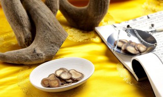 鹿茸水能常喝吗 鹿茸水可以天天喝吗