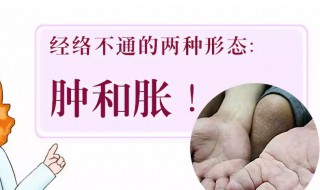 经络不通吃什么 经络不通如何食疗