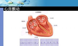 心脏房颤按哪个穴位 可以治疗房颤的穴位有哪些?