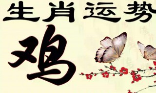 81年的鸡2019运势如何 各种运势