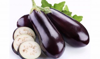 家庭冷冻茄子的方法 你学会了吗