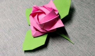 玟瑰花折法 简单教你如何折