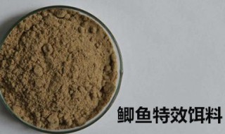 鲫鱼特效饵料配方 每次都满载而归