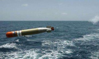 鱼雷发动机原理是什么 鱼雷发动机是如何工作的