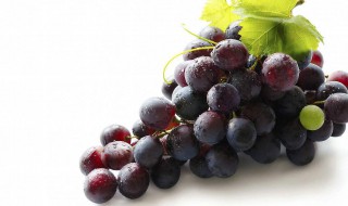 葡萄的深加工方法 揭秘葡萄深加工