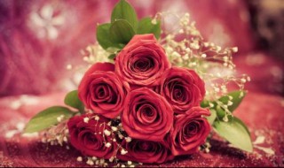 教师节送女友什么花 送什么更能代表心意