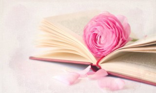 时光静好的唯美句子 赶紧收藏起来吧