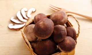 香菇放在冰箱里起了一层白色能吃吗 教你香菇如何保鲜