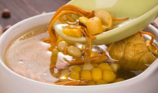 玉米炖汤做法大全 玉米排骨汤的做法及其功效