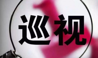 巡视专员是什么级别 来看看国家怎么规定吧