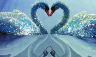 钻石画有哪几种 有什么区别