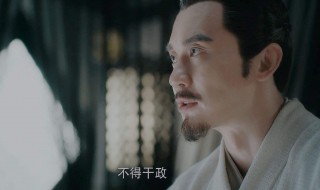 亲信干政是什么意思 看完答案我终于懂了