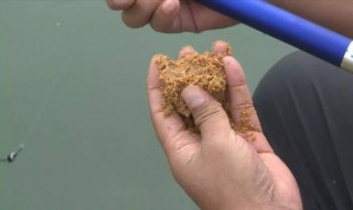 鱼饵吃完了怎么不上钩 来看看老师傅怎么说