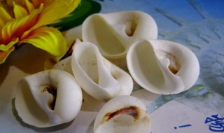 贝壳肚子里怎么清洗 怎么清洗贝壳肚子