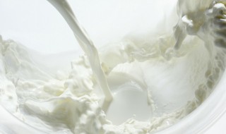 刚挤出的新鲜羊奶好不好 这些建议一定要记住