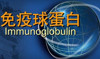免疫球蛋白副作用 免疫球蛋白的作用