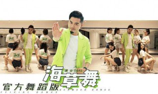 海草歌曲原唱 送给需要的你