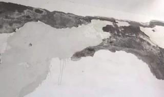 屋顶墙皮脱落怎么修补 屋顶防水