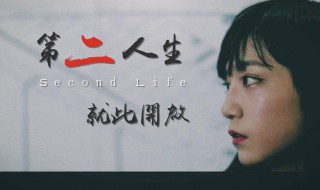 第二人生大结局什么 最后组合重组了吗