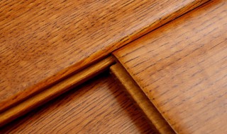 孪叶苏木缺点 一起来看看吧