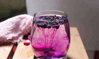 黑枸杞泡水喝的方法 快来看看以下功效吧