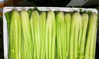 神南山芹籽是什么意思 给大家介绍一下