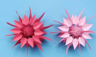 折纸大全花朵 简单易学好上手