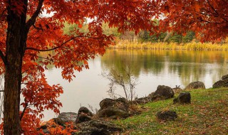 2019秋社今年是哪一天 历史的由来