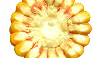 玉米芯的作用 小物品多作用