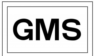 gms服务是什么 有什么意义