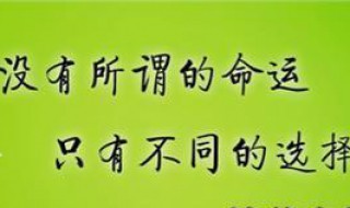 正能量乐观幽默的句子 以积极的态度来面对现实