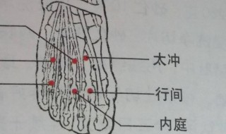 行间穴的位置及功用 按摩行间穴的好处