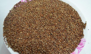 苏子籽的功效与作用 帮助睡眠