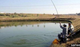 野塘钓鱼技巧 4个钓鱼技巧分享