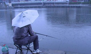 雨天钓鱼怎么钓 秋季雨天钓鱼有技巧一钓一个准